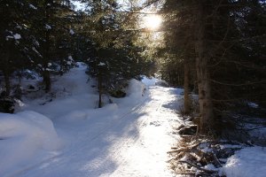 Strada innevata
