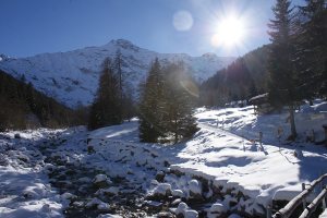 Foto di copertina