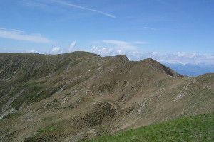 Gazzirola