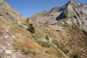 Via Alta della Verzasca 9